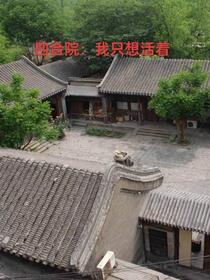 四合院：平淡苟活