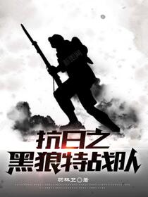 铁血抗日之血战到底