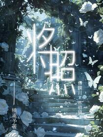 将照