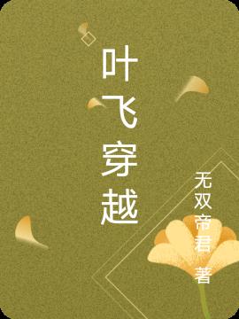 叶飞穿越